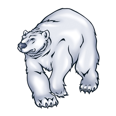 Polar Bear 2